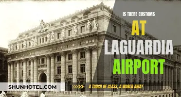 Customs at LaGuardia: What to Expect When You Land