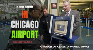 Customs at Chicago Airport: What to Expect When Traveling