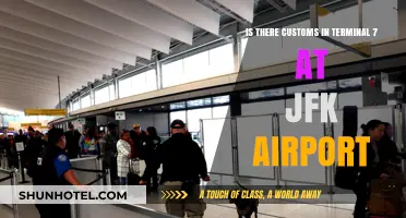 Navigating JFK: Does Terminal 7 Have Customs Facilities?