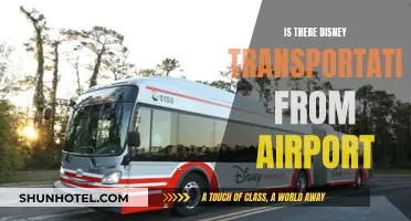 Disney Transportation: Airport Transfers and Magical Journeys