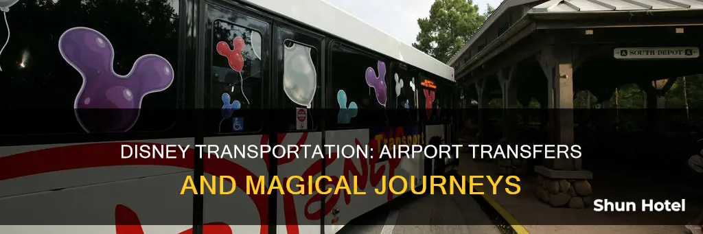 is there disney transportation from airport