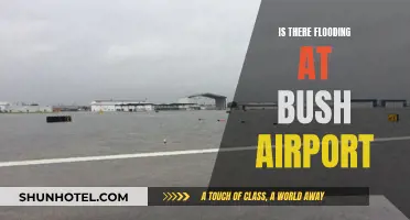 Houston's Bush Airport: Flooding and Travel Woes