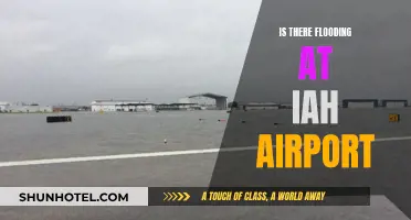 Houston's IAH Airport: Flooding and Travel Woes