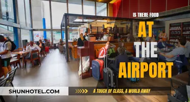 Traveler's Guide: Airport Food Options and Availability
