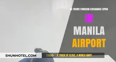 Manila Airport Foreign Exchange: Open for Travelers' Currency Needs?