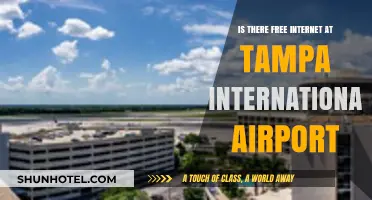 Free Wi-Fi at Tampa International Airport: What Travelers Need to Know