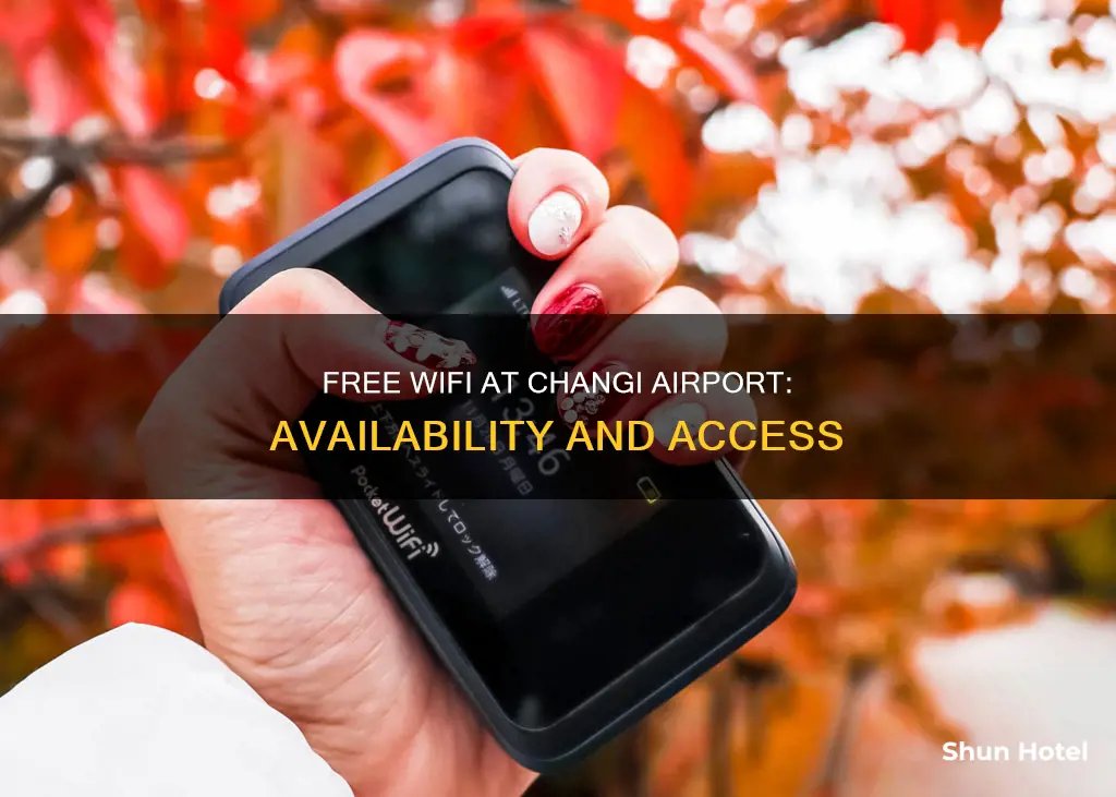 is there free wifi changi airport