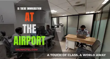 Immigration Checks: Airport Arrival Procedures and Policies