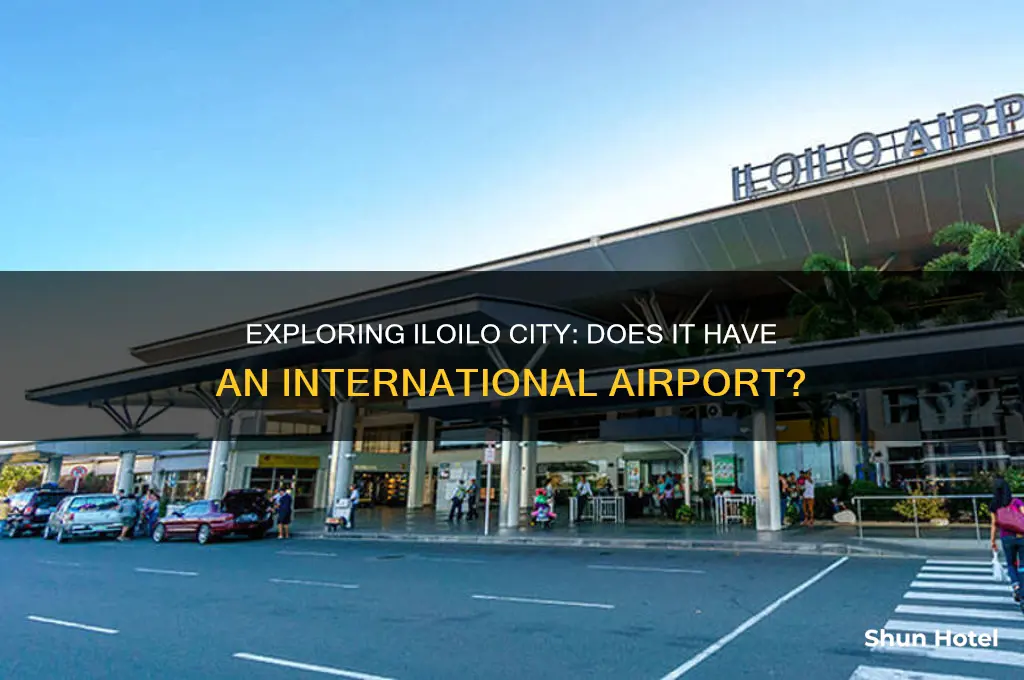 is there international airport in iloilo city philippines