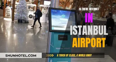 Istanbul Airport: Internet Access Available?