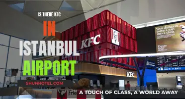 KFC at Istanbul Airport: Where to Find Them