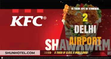 Exploring Delhi Airport: KFC's Presence in Terminal 2 Revealed