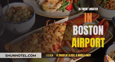 Lobster in Boston: Airport Availability and Accessibility