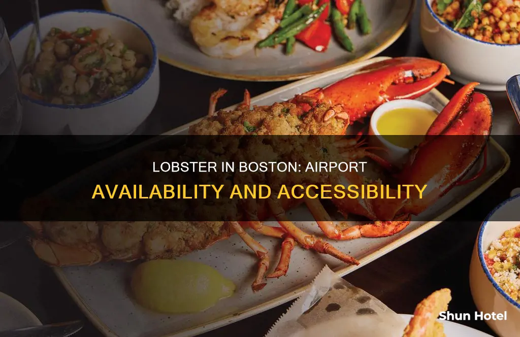 is there lobster in boston airport