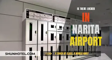 Narita Airport: Lockers Available for Traveler Convenience
