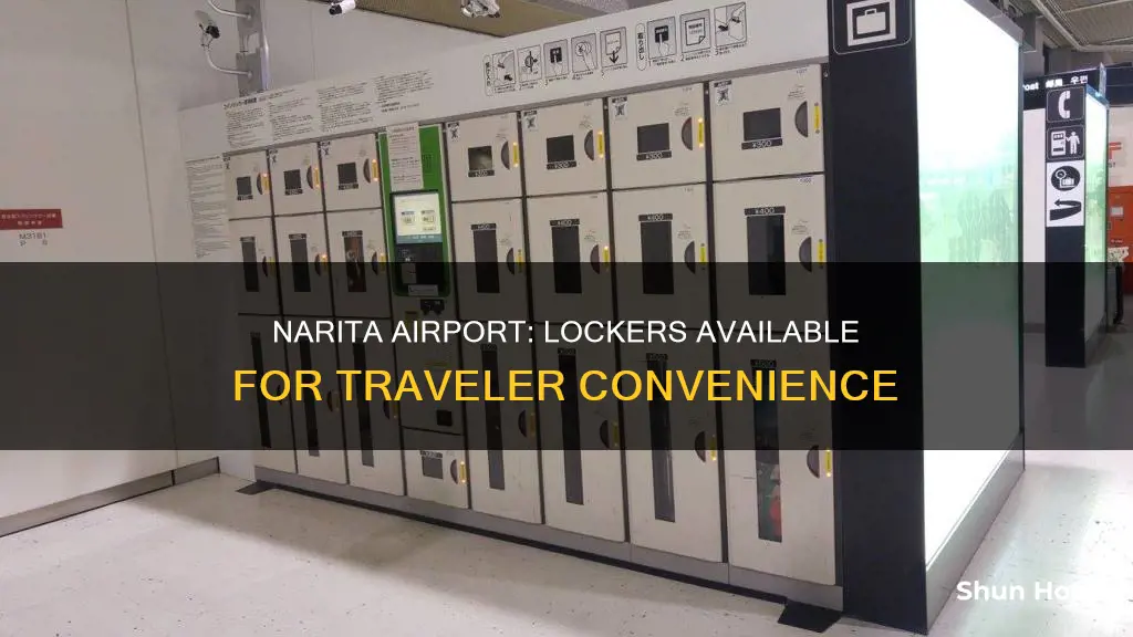 is there locker in narita airport