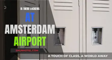 Lockers at Amsterdam Airport: Available for Travelers?