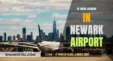 Lockers at Newark Airport: Available or Not?