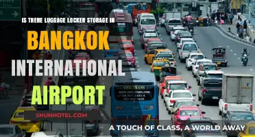 Bangkok International Airport Luggage Locker Storage: Availability and Options