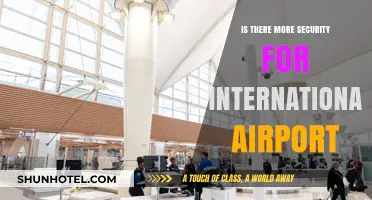 Enhanced Security Measures: Are International Airports Safer Than Domestic?