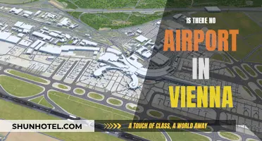 Vienna's Airport Conundrum: Does it Exist?