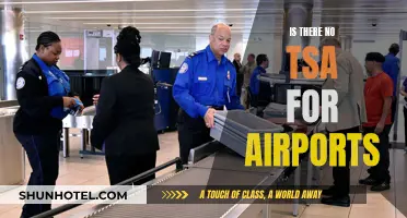 Airports Without TSA: Safe or Unsafe?