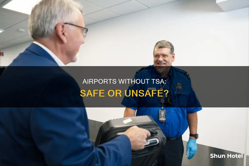 is there no tsa for airports
