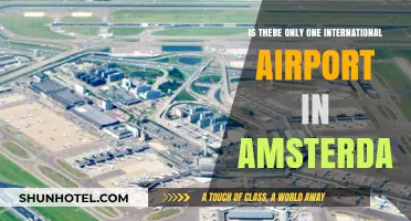 Exploring Amsterdam's Air Travel Hub: Is Schiphol the Sole International Airport?