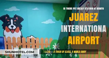 Pet Relief Stations at Benito Juarez Airport: What Travelers Need to Know