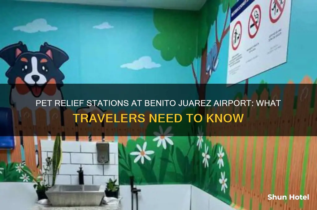 is there pet relief station at benito juarez international airport