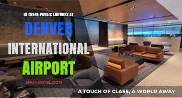 Discover Denver Airport's Public Lounges: Relaxation Spots for All Travelers