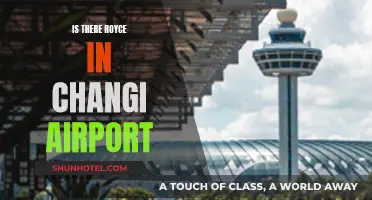 Royce in Changi Airport: Where to Find Them