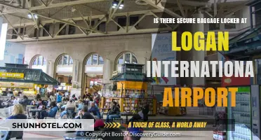 Secure Baggage Lockers at Logan Airport: Availability and Safety Tips