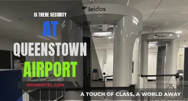 Queenstown Airport Security: Is It Safe?