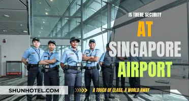 Security Measures at Singapore Changi Airport: What to Expect?