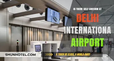 Delhi International Airport Self Check-In: Availability and How It Works