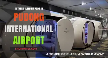 Sleeping Pods at Pudong Airport: A Traveler's Guide to Rest
