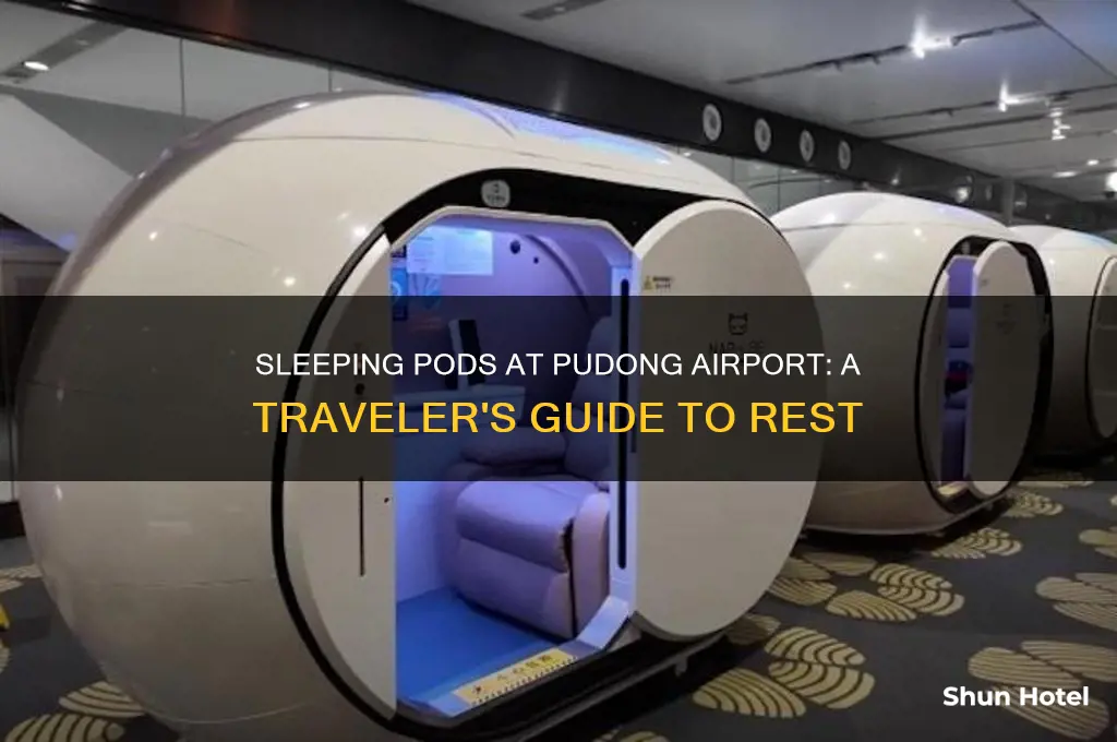 is there sleeping pods in pudong international airport