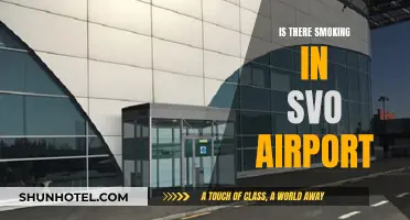 Smoking at SVO Airport: What You Need to Know