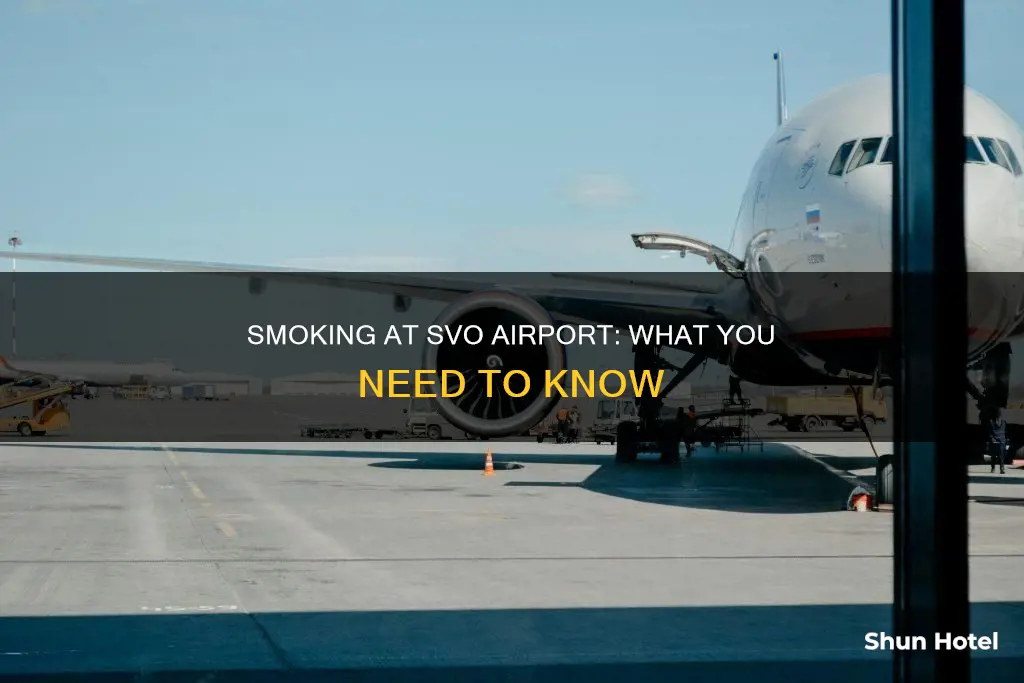 is there smoking in svo airport