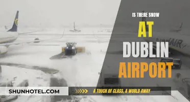 Dublin Airport's Snowy Conditions: What to Expect