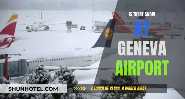 Winter Wonderland: Snow at Geneva Airport