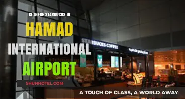 Starbucks at Hamad International Airport: A Traveler's Guide to Coffee