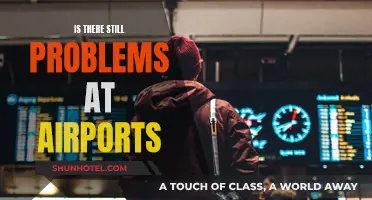 Airports: Ongoing Issues and Frustrations for Travelers