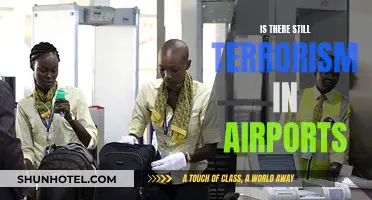 Terrorism in Airports: Is the Threat Still Looming?