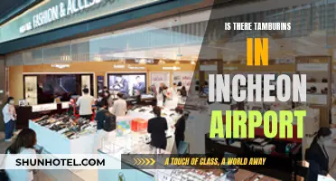 Finding Tamburins in Incheon Airport: Where to Look?