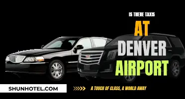 Denver Airport Taxi Services: Availability and Options