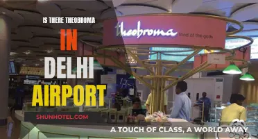 Theobroma: Delhi Airport's Sweet Escape