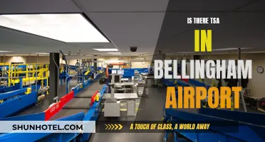 TSA Presence in Bellingham Airport: What to Expect