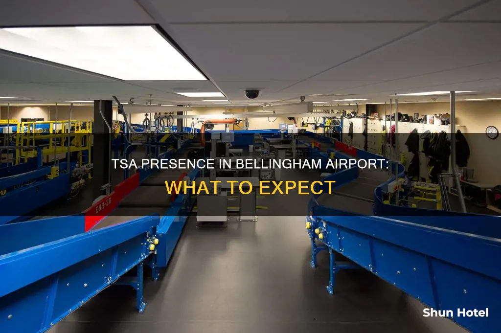 is there tsa in bellingham airport
